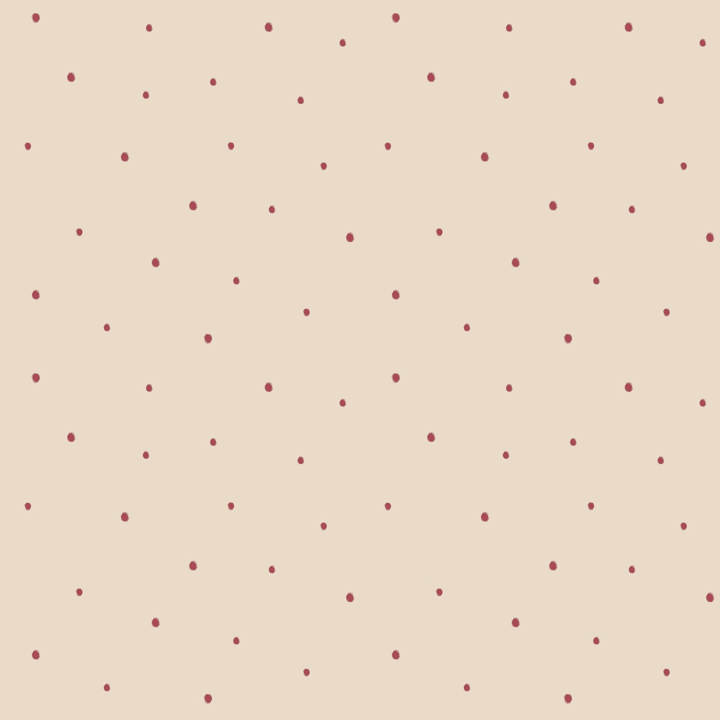 Dolce Daisies Wallpaper, Pavlova, Sample