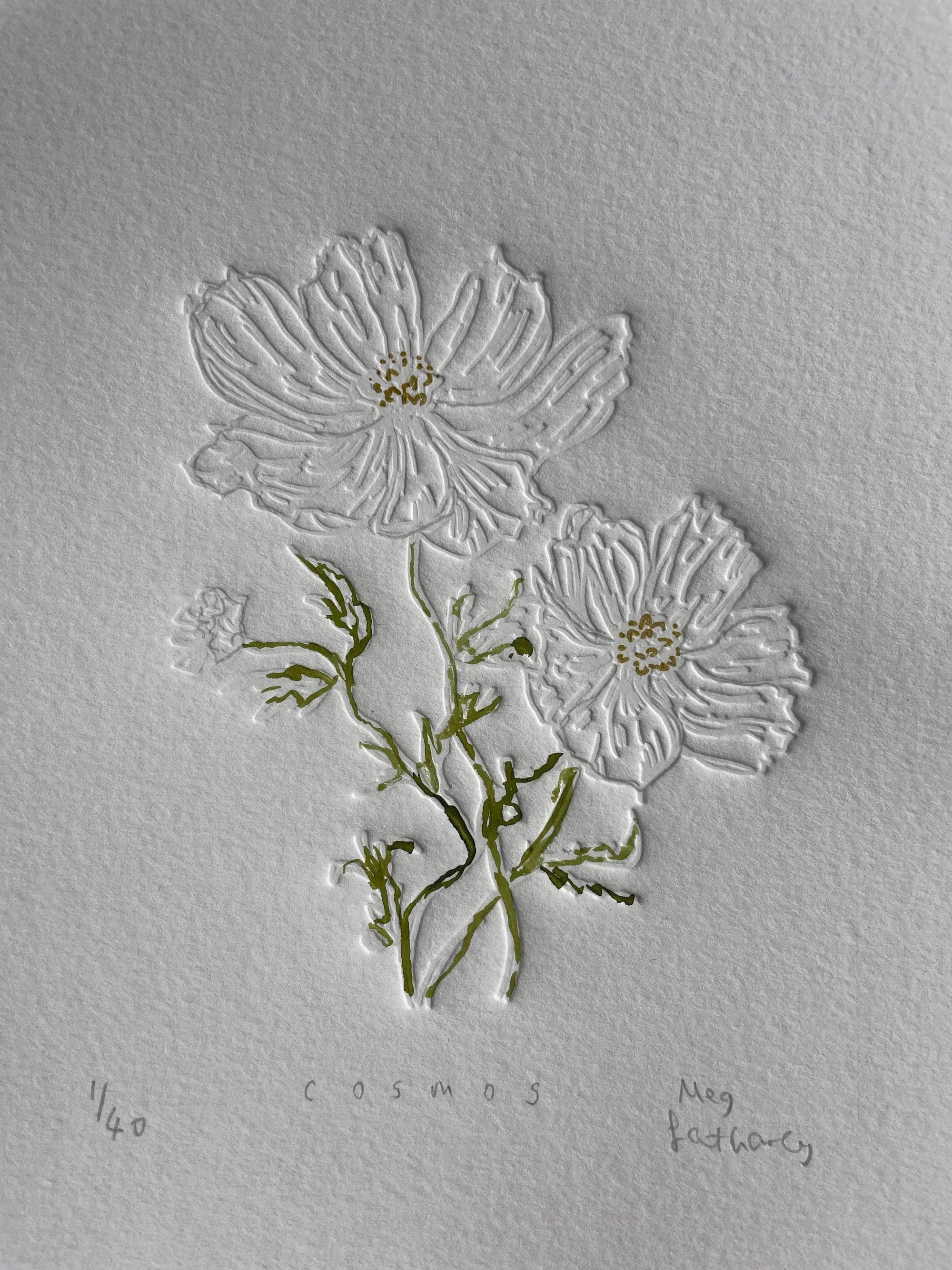 Limited Edition Cosmos Flower of the Month Embossing and Drawing