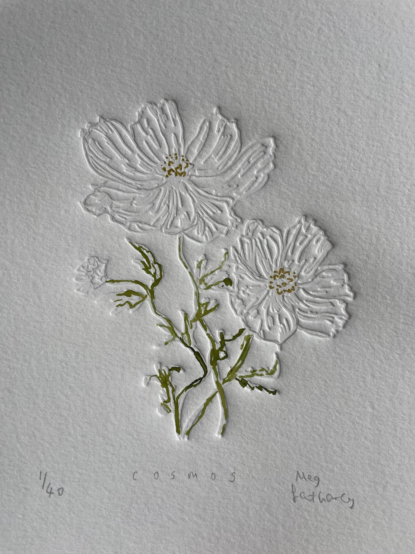 Limited Edition Cosmos Flower of the Month Embossing and Drawing