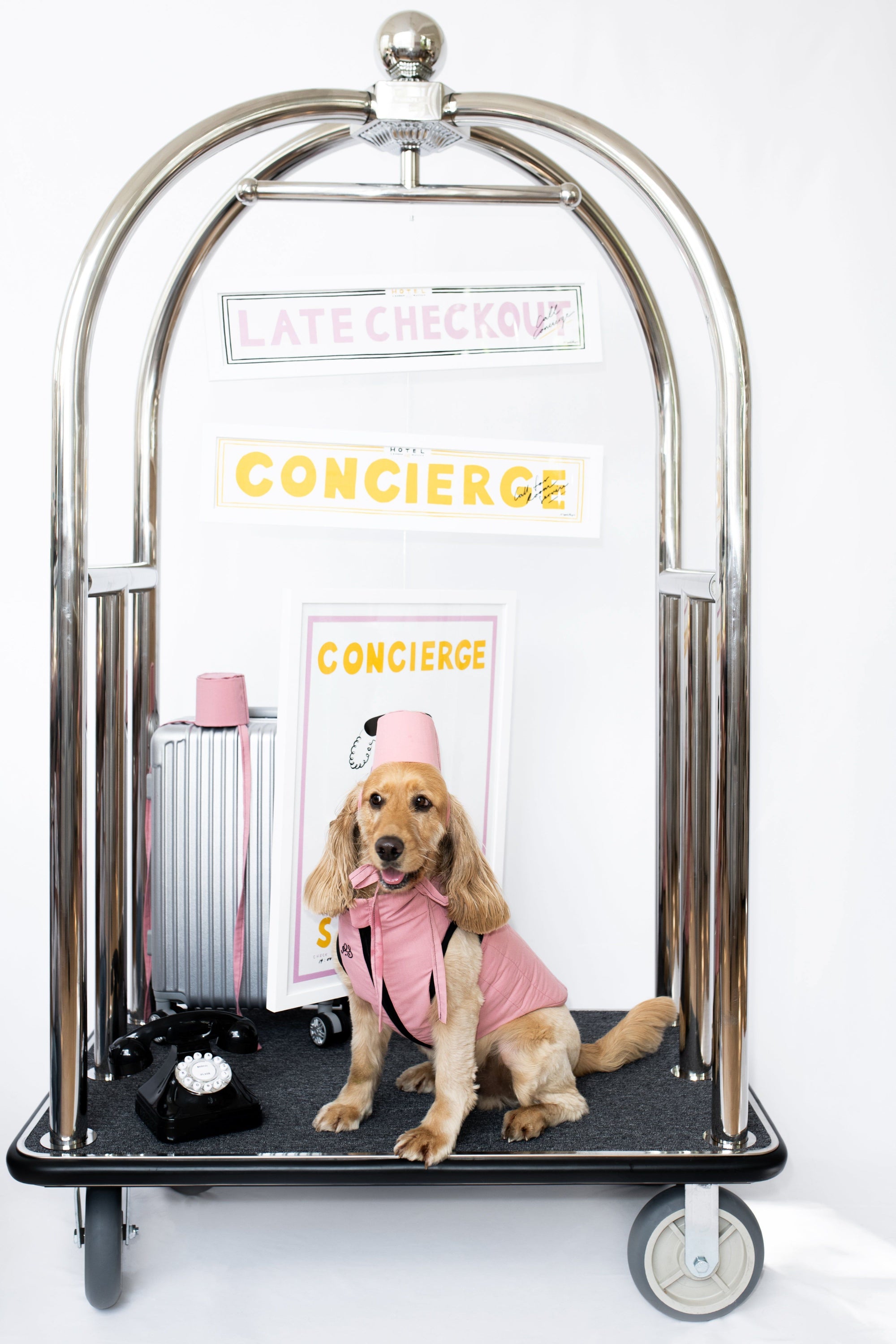 Late Checkout Panoramic Framed Print