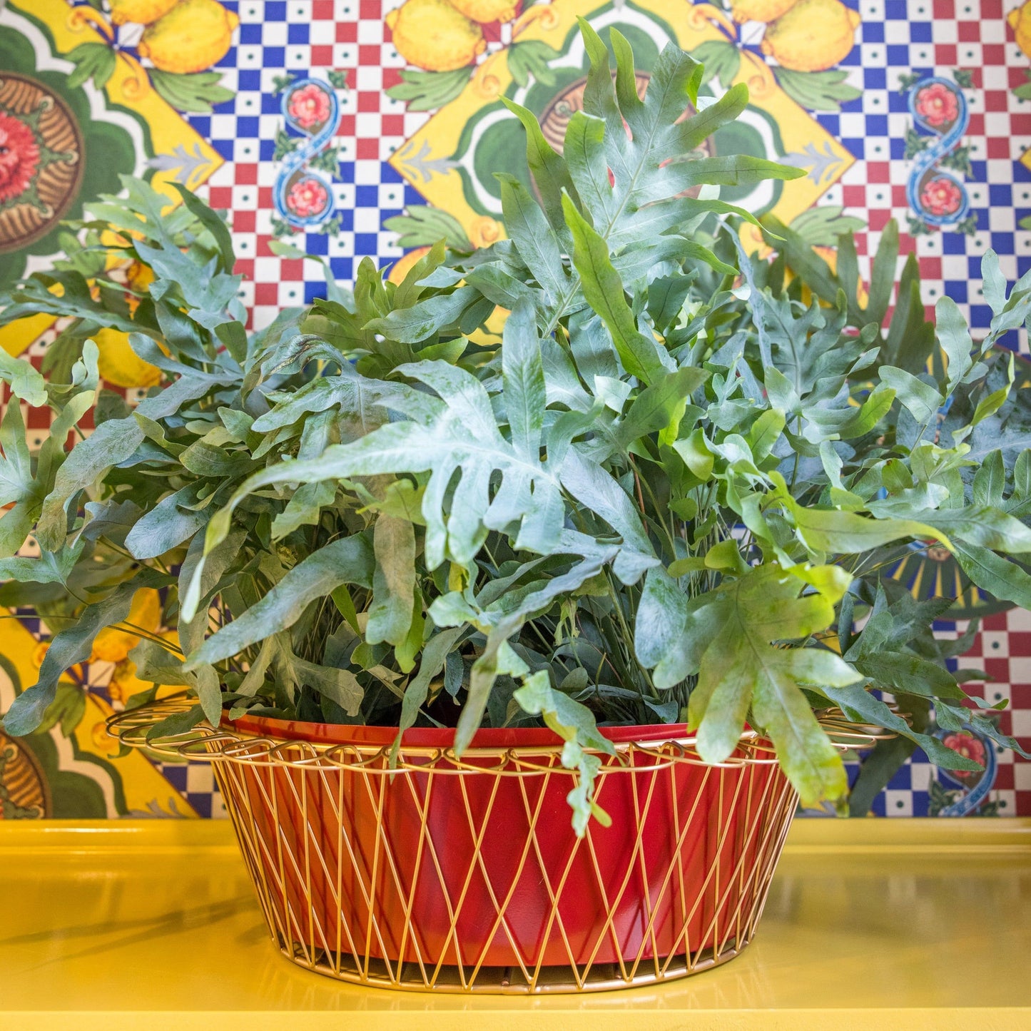 Wire Basket Planter | Cherry Red & Gold