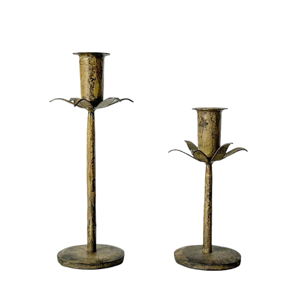Candle Holder, Daffodil