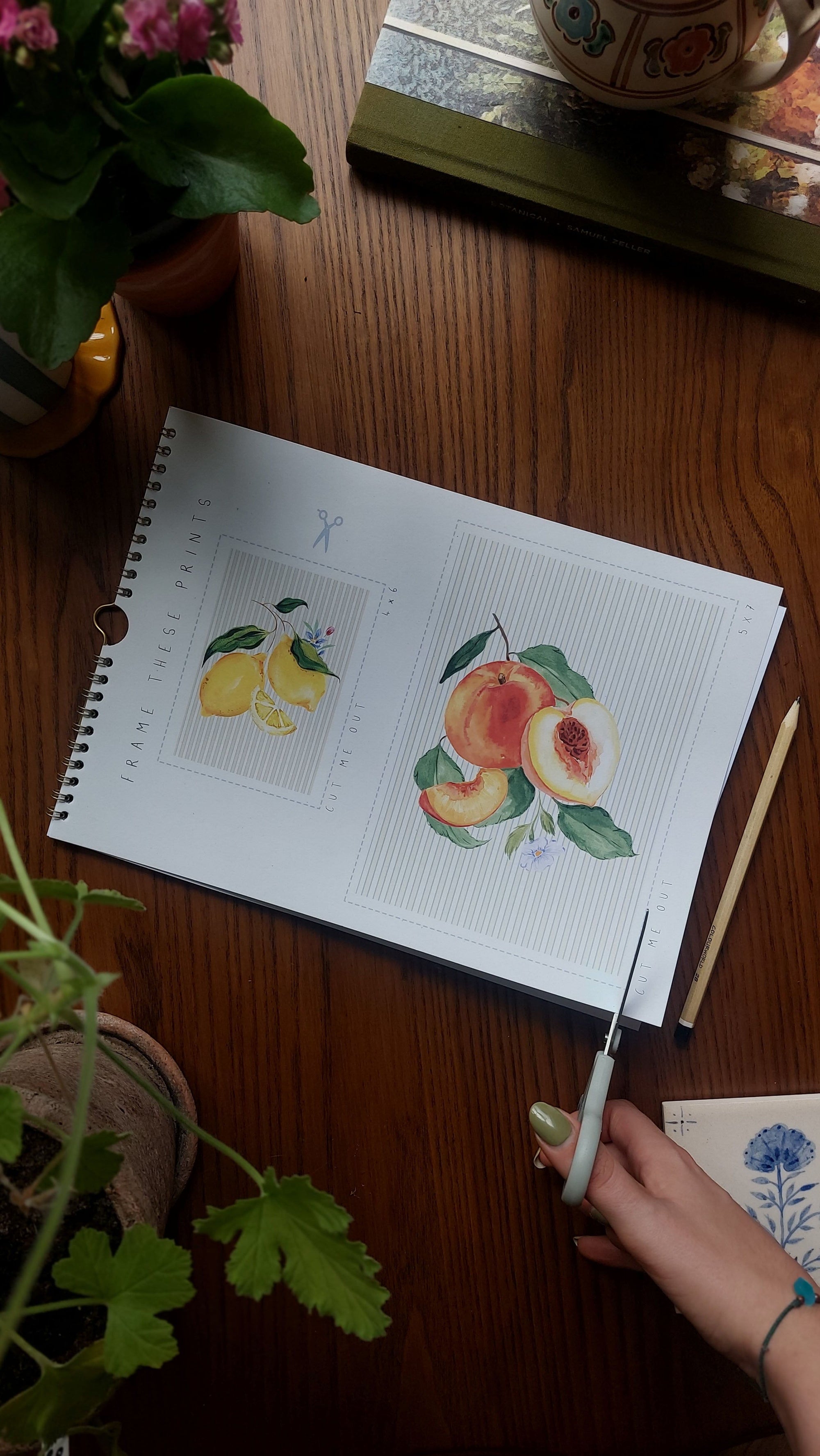 2026 Fruit Wall Calendar