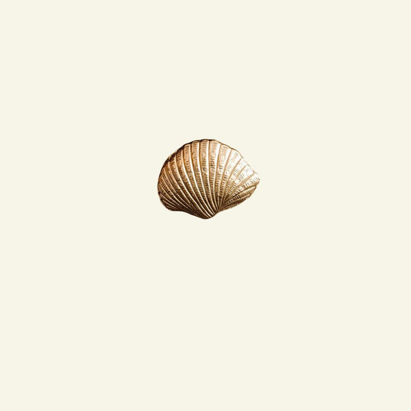 Cockle Shell Knob, Lacquered Brass