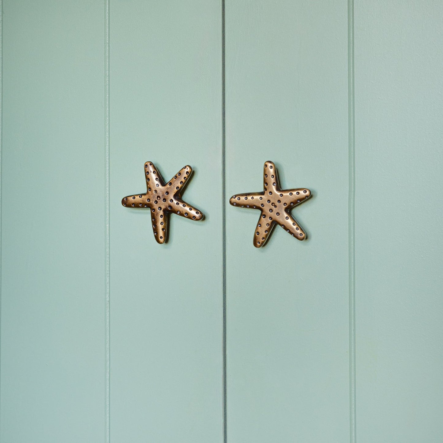 Starfish Knob, Antique Brass