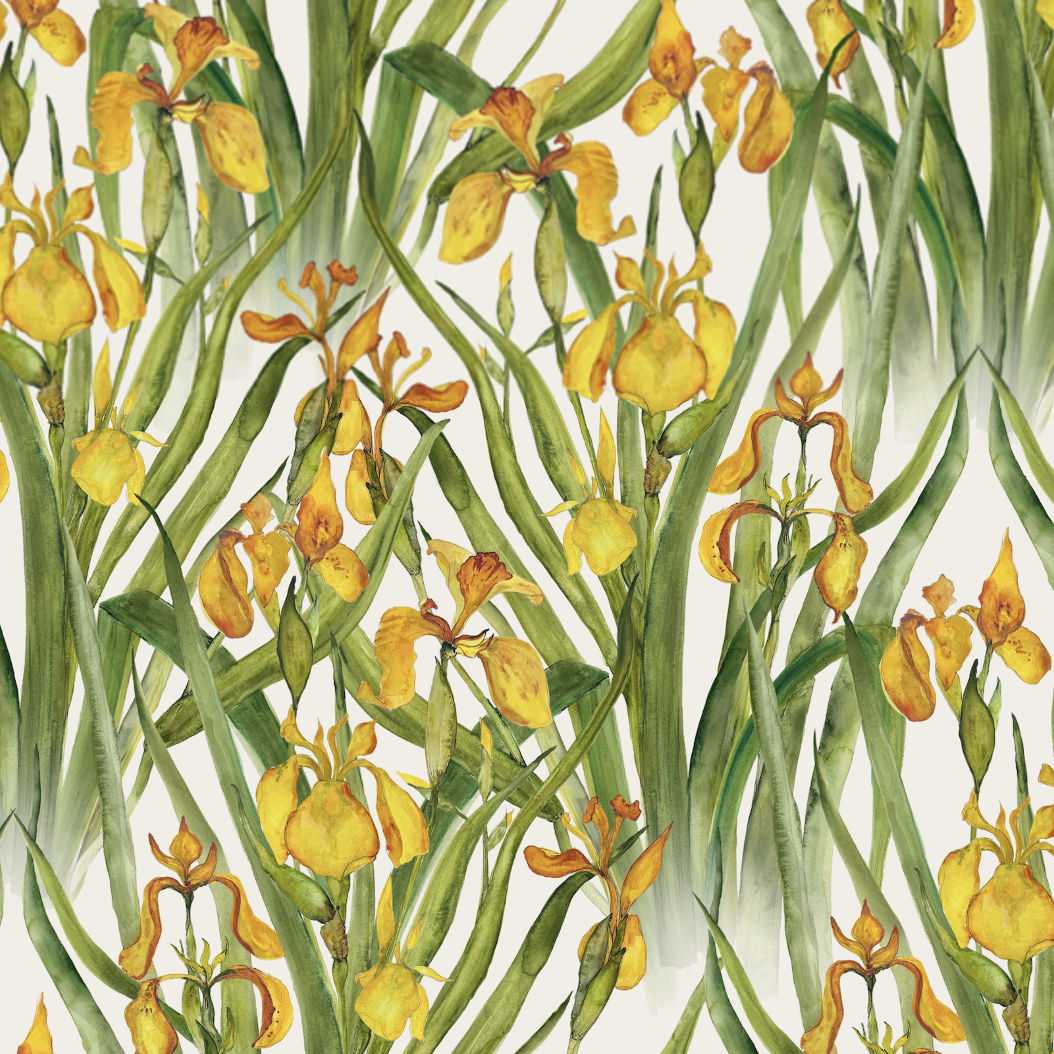 Wild Iris Large Wallpaper