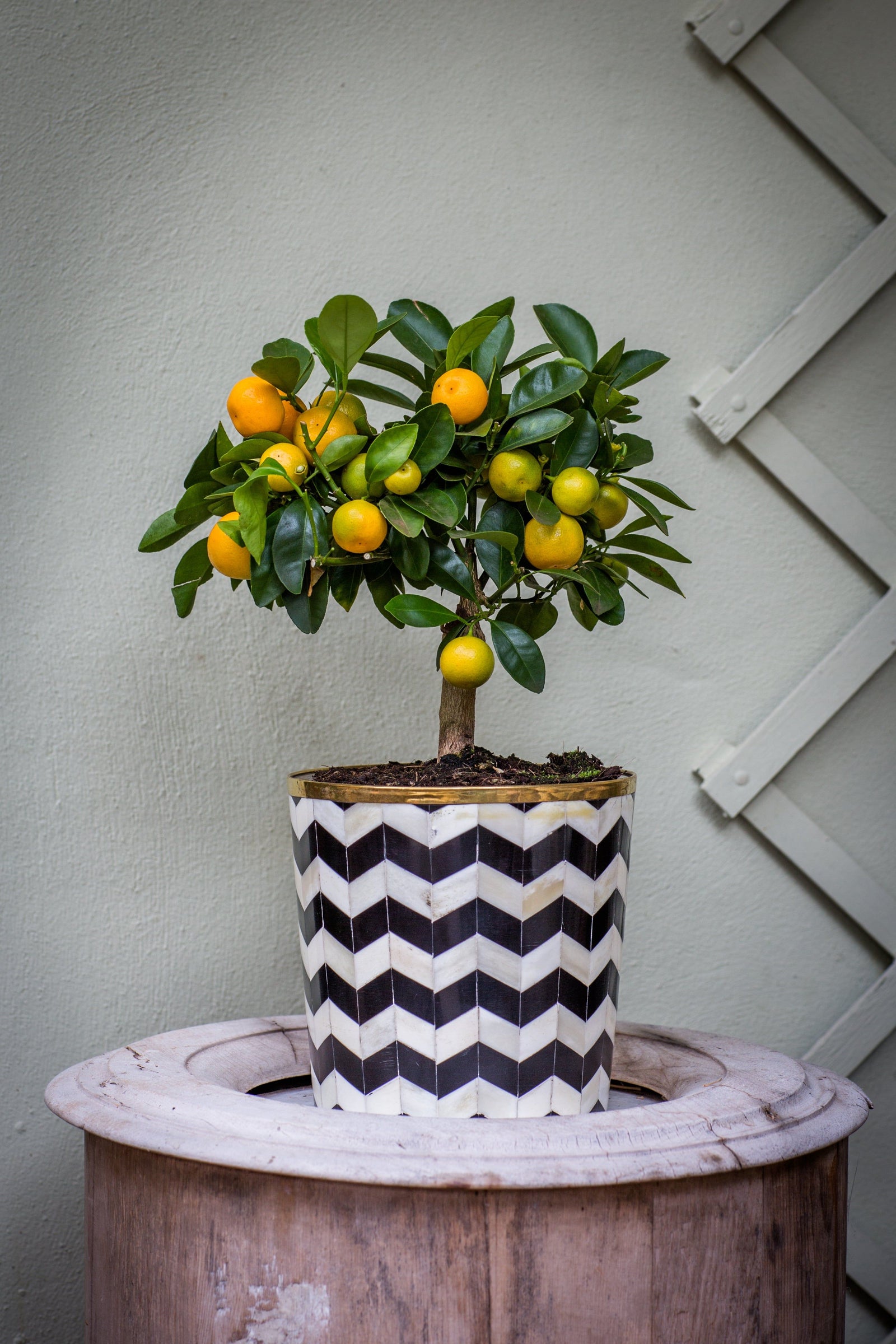Round Inlay Planter | Medium | Black | Chevron