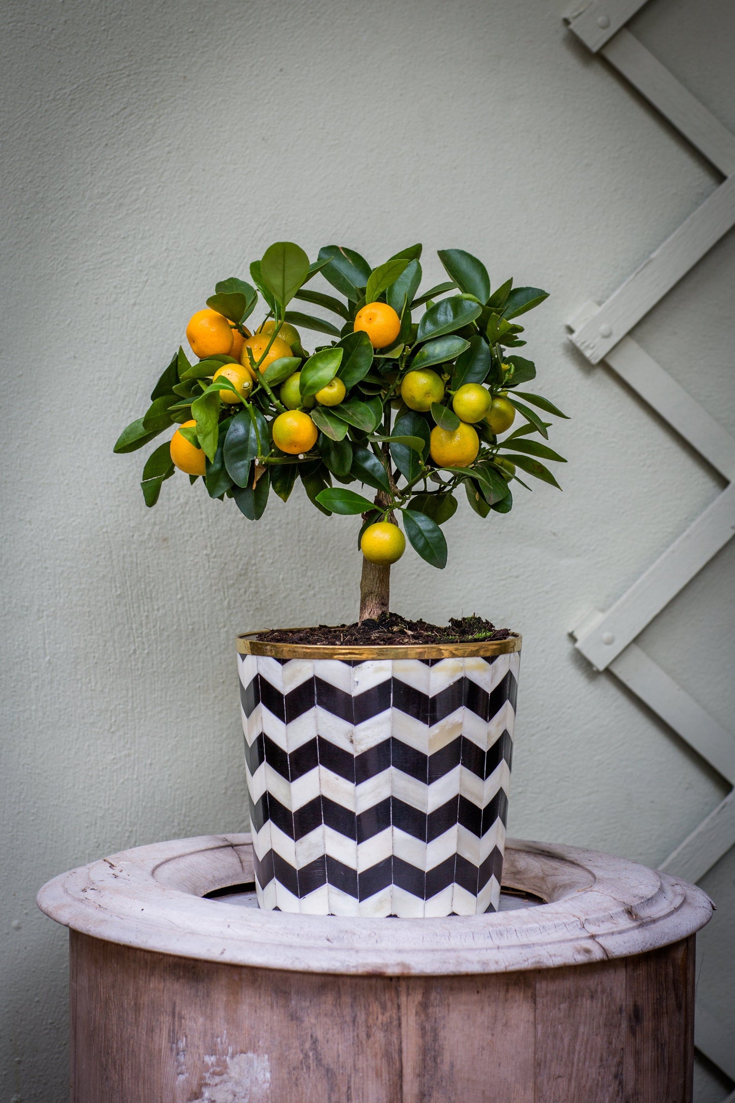 Round Inlay Planter | Medium | Black | Chevron