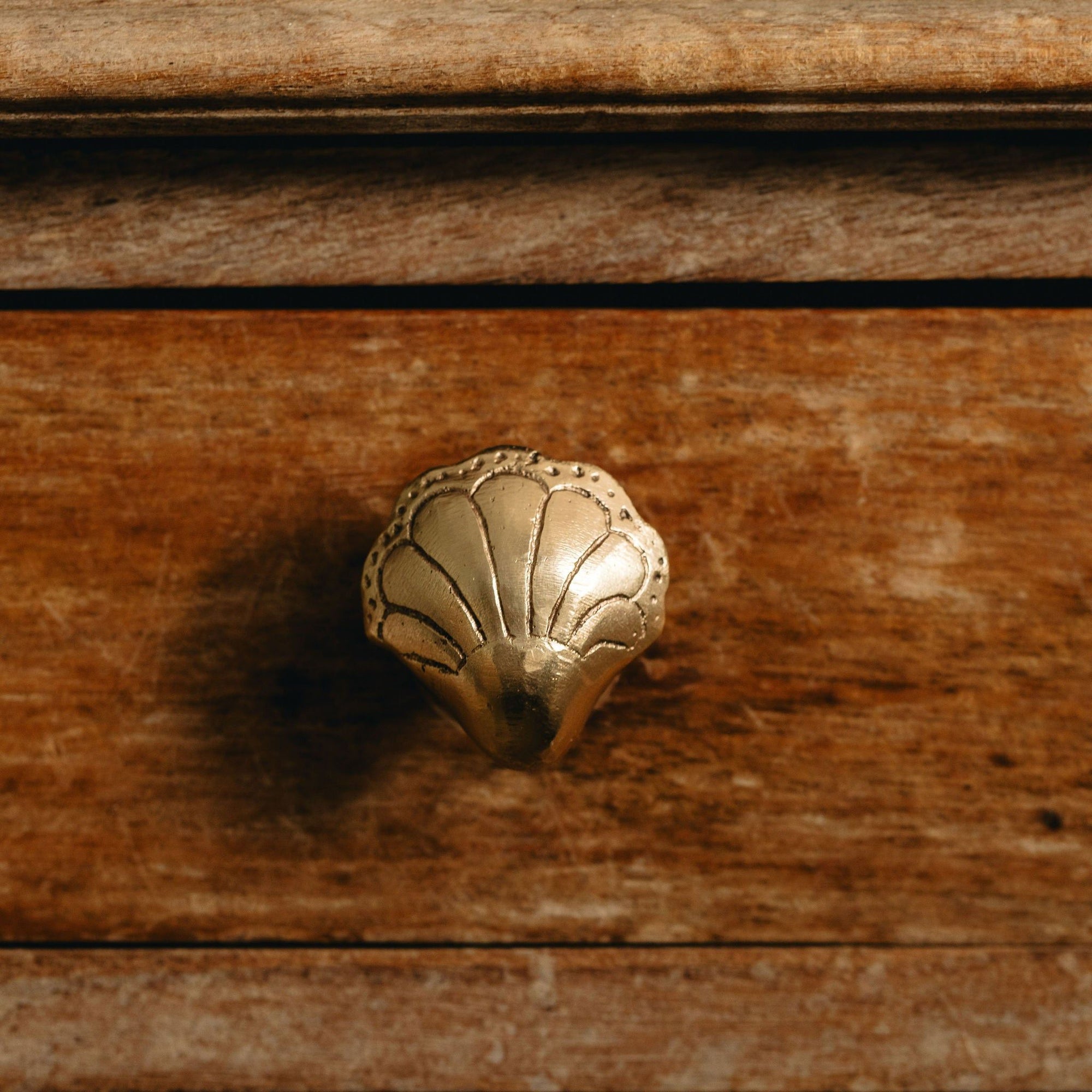 Chunky Shell Knob, Lacquered Brass