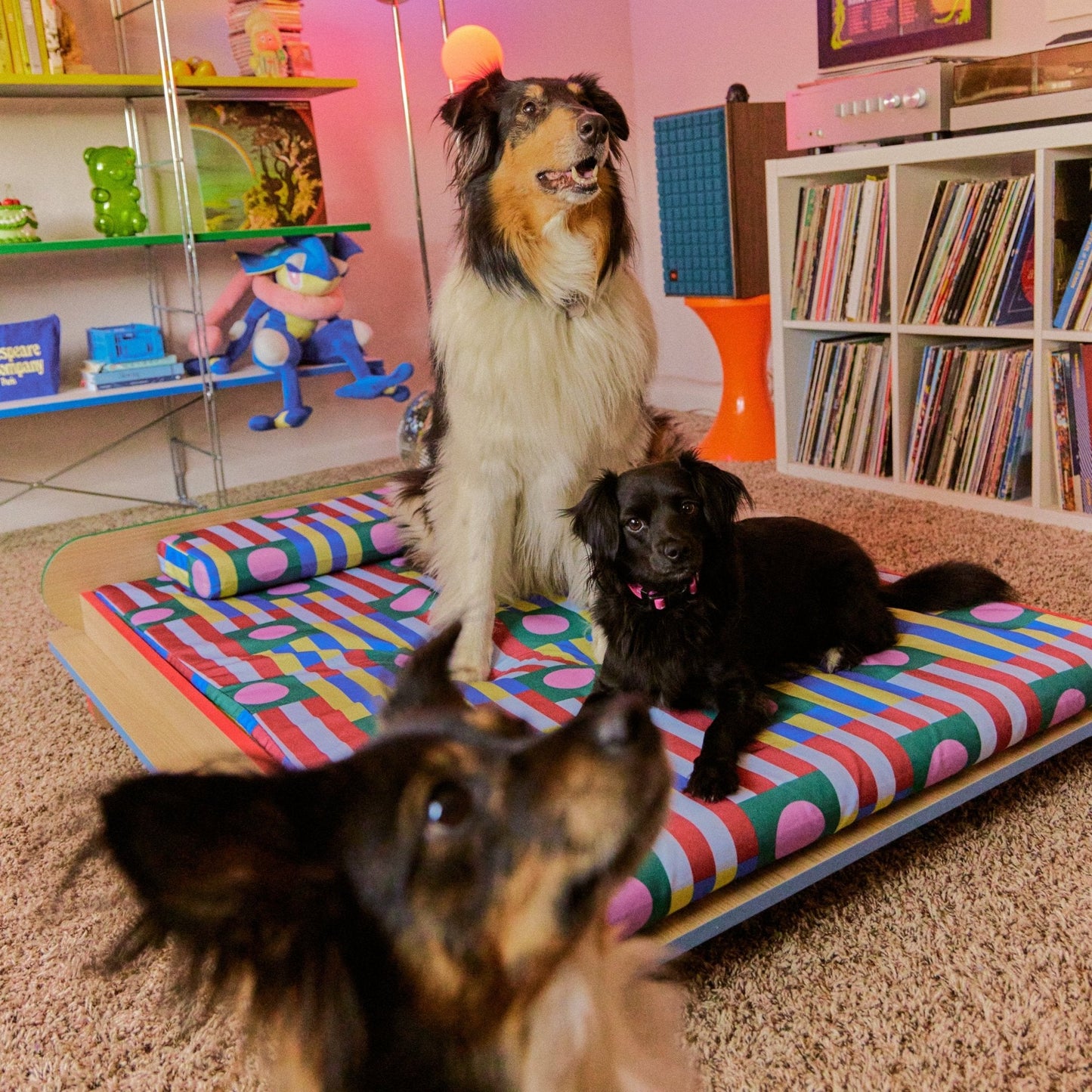 The Leo Bed – Modern Elevated Dog & Cat Bed