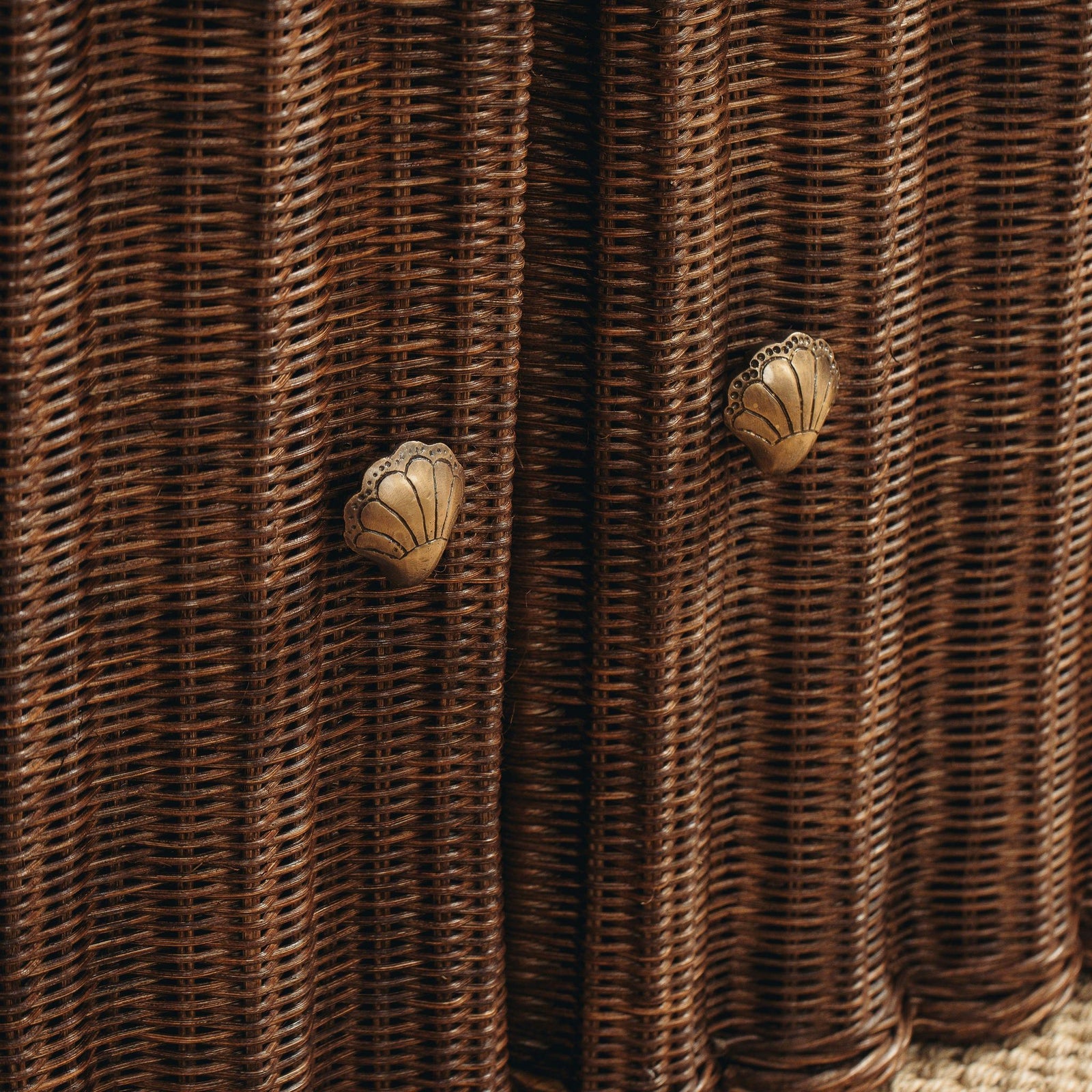 Chunky Shell Knob, Lacquered Brass