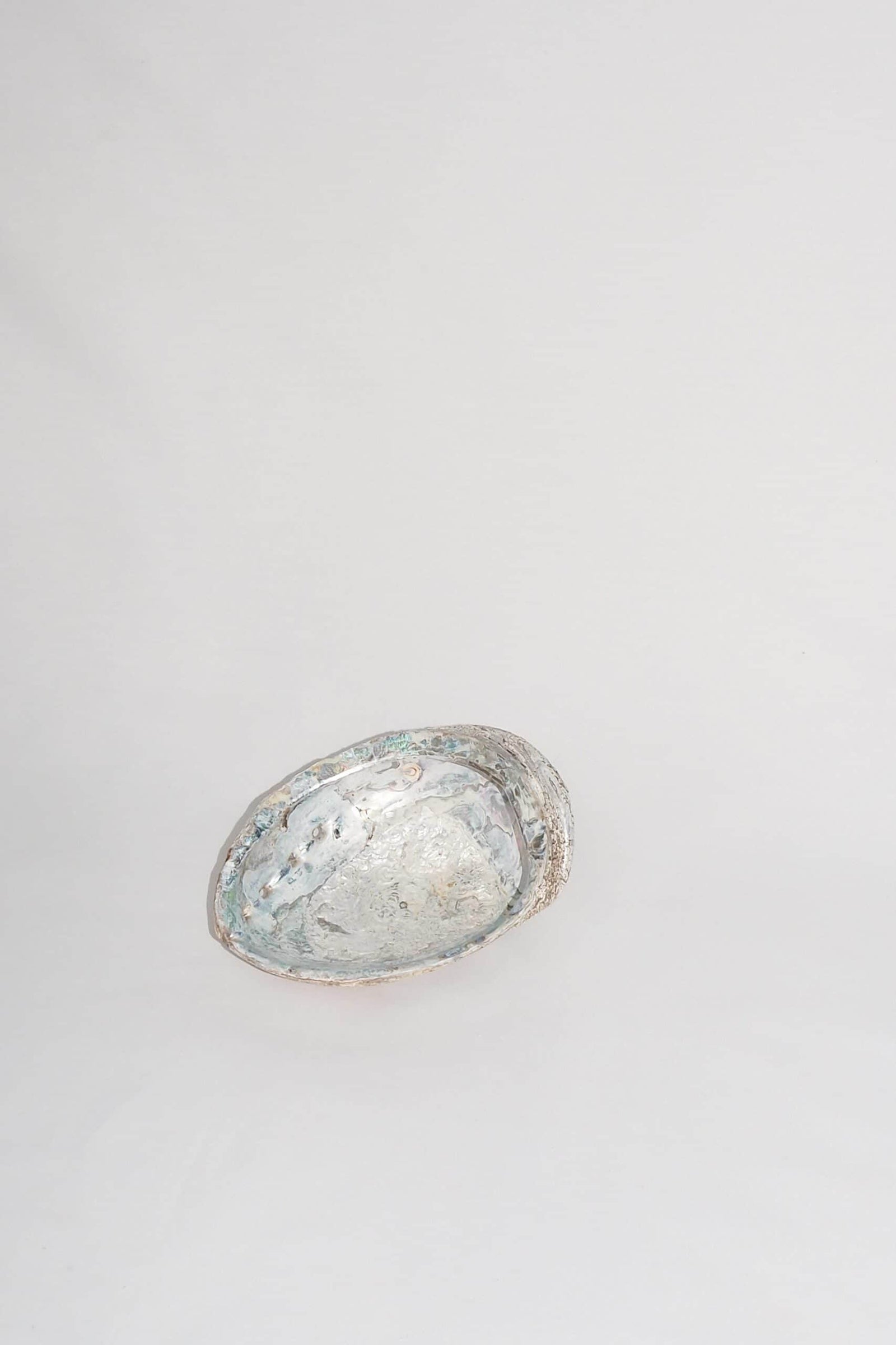 Extra Large Vintage Shell