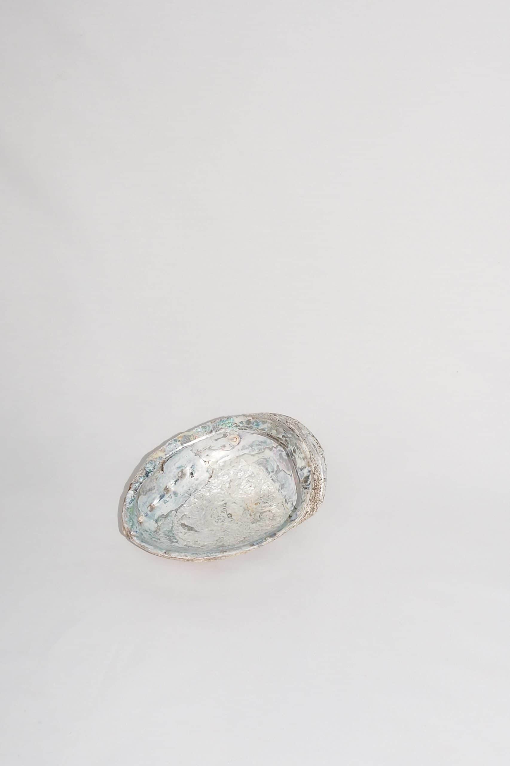 Extra Large Vintage Shell