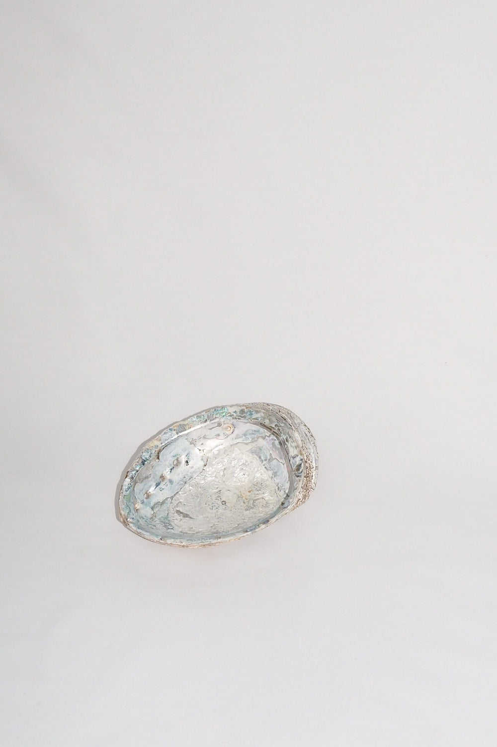 Extra Large Vintage Shell