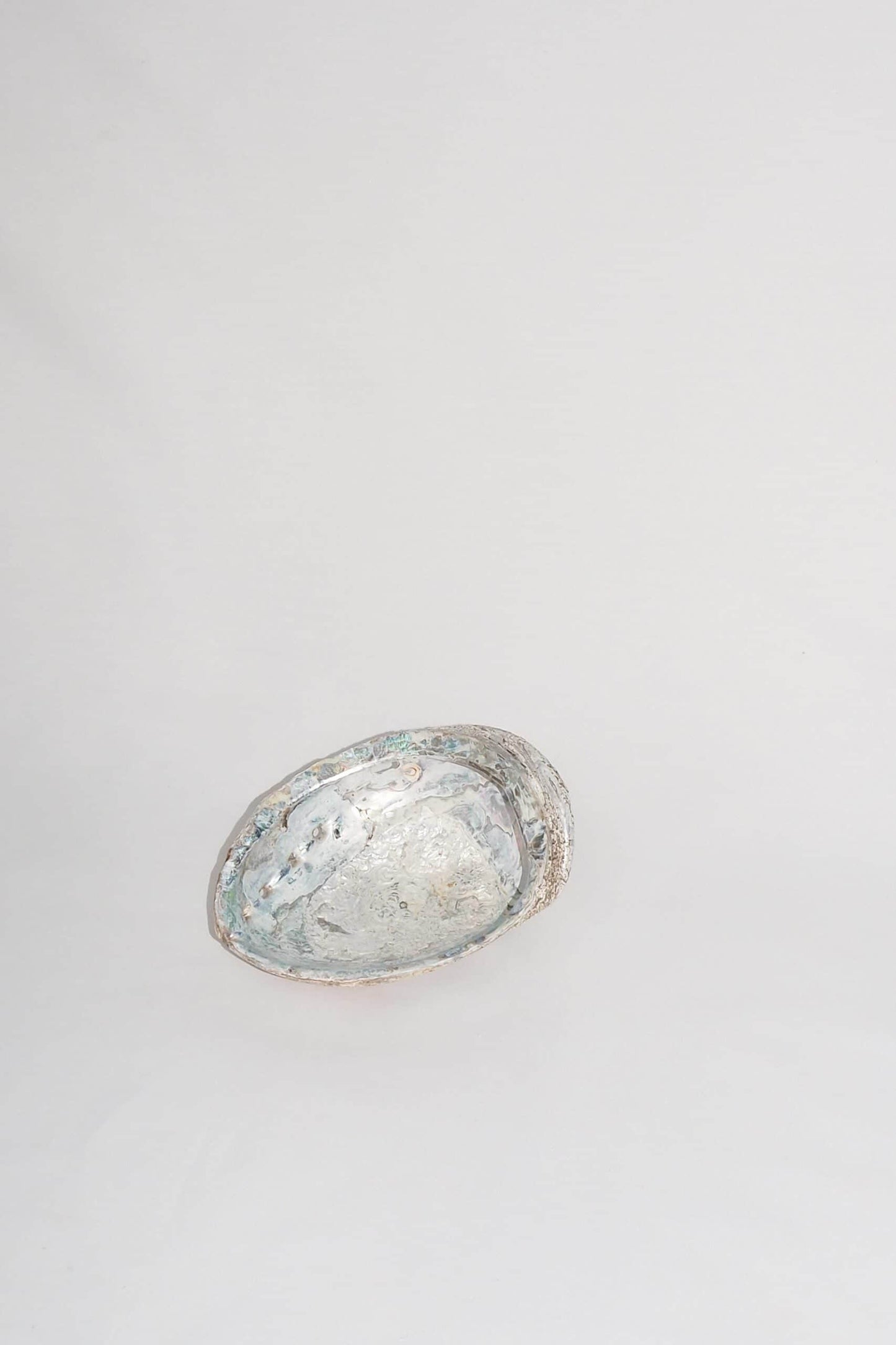 Extra Large Vintage Shell