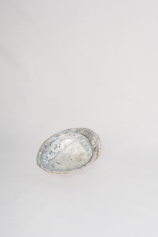 Extra Large Vintage Shell