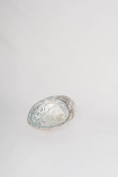 Extra Large Vintage Shell