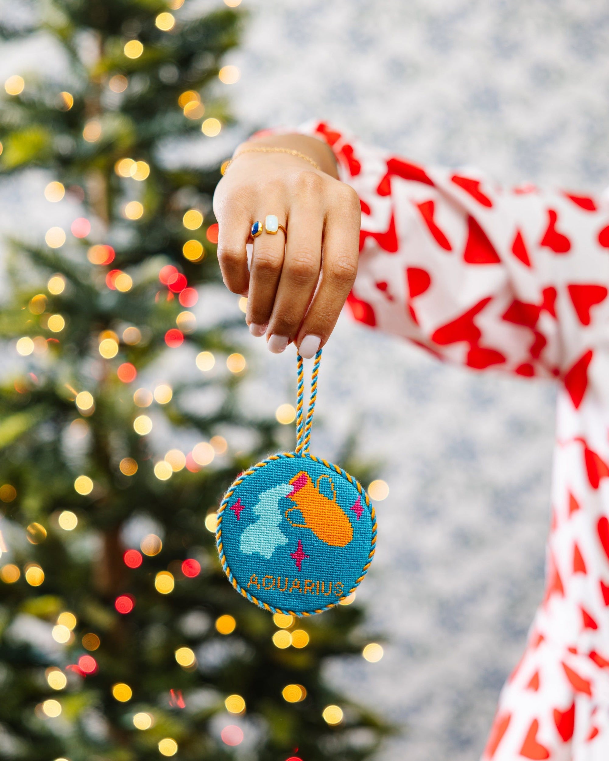 Needlepoint Zodiac Ornament - Aquarius