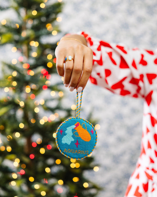 Needlepoint Zodiac Ornament - Aquarius
