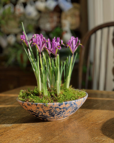 Splatter Bowl, Large