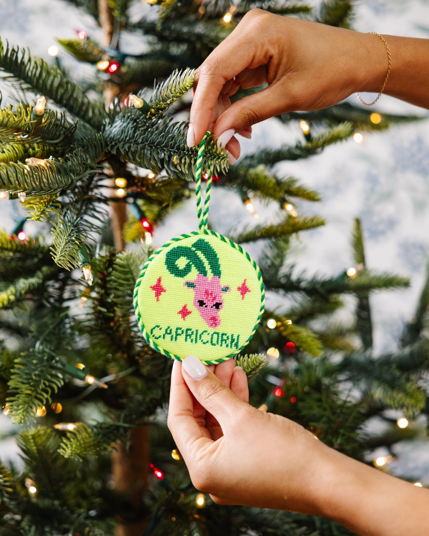 Needlepoint Zodiac Ornament - Capricorn