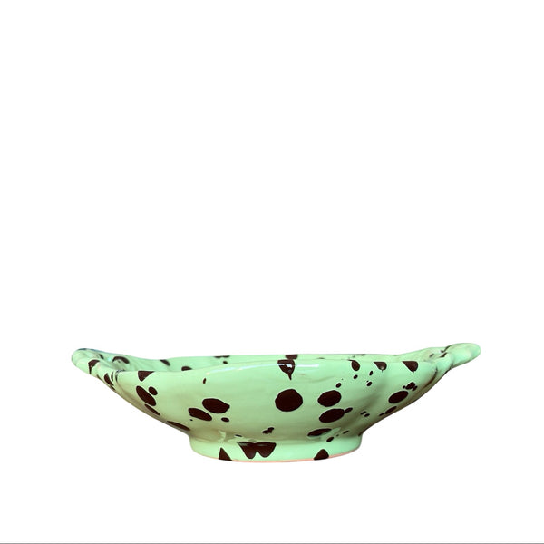 The Shell Dish