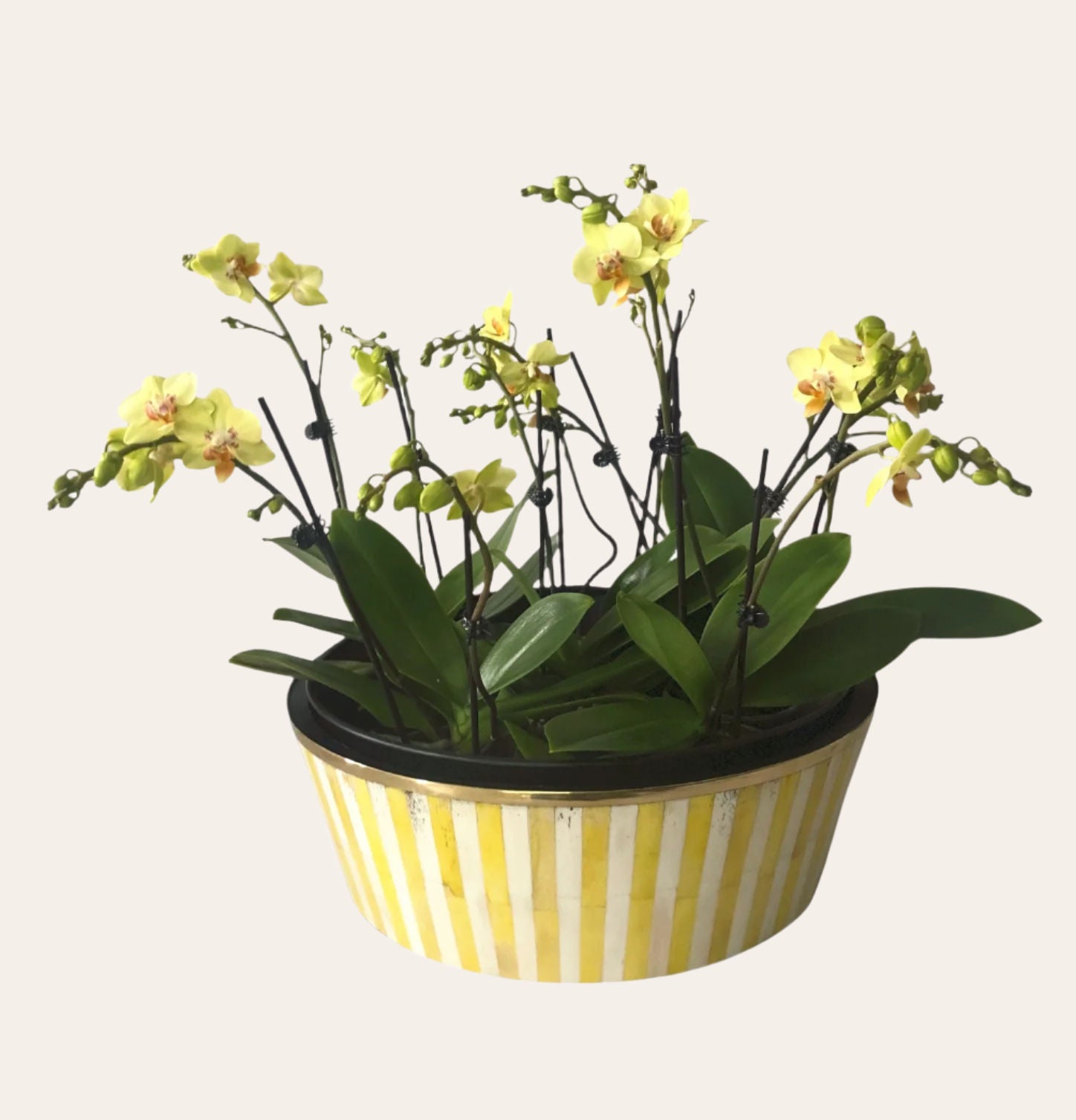 Round Inlay Planter | Large | Yellow | Striped