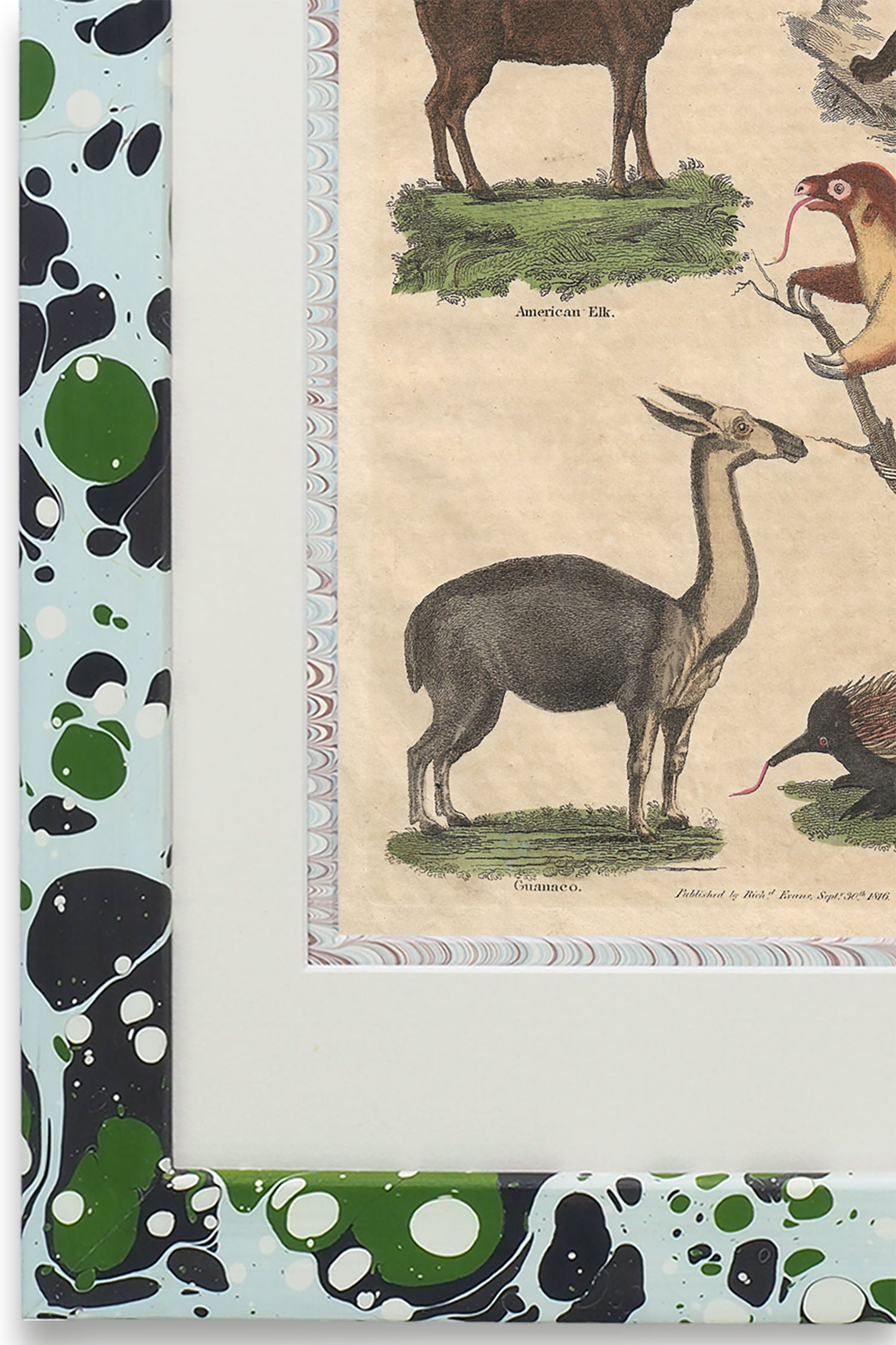 Buffon No.34 Glacier Framed Print