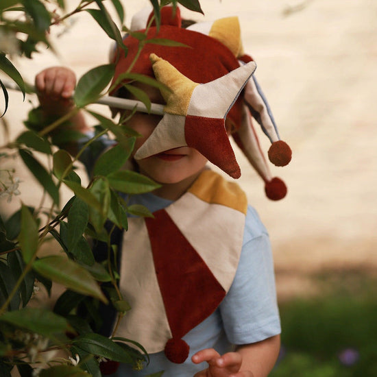 Dress Up Set - Jester