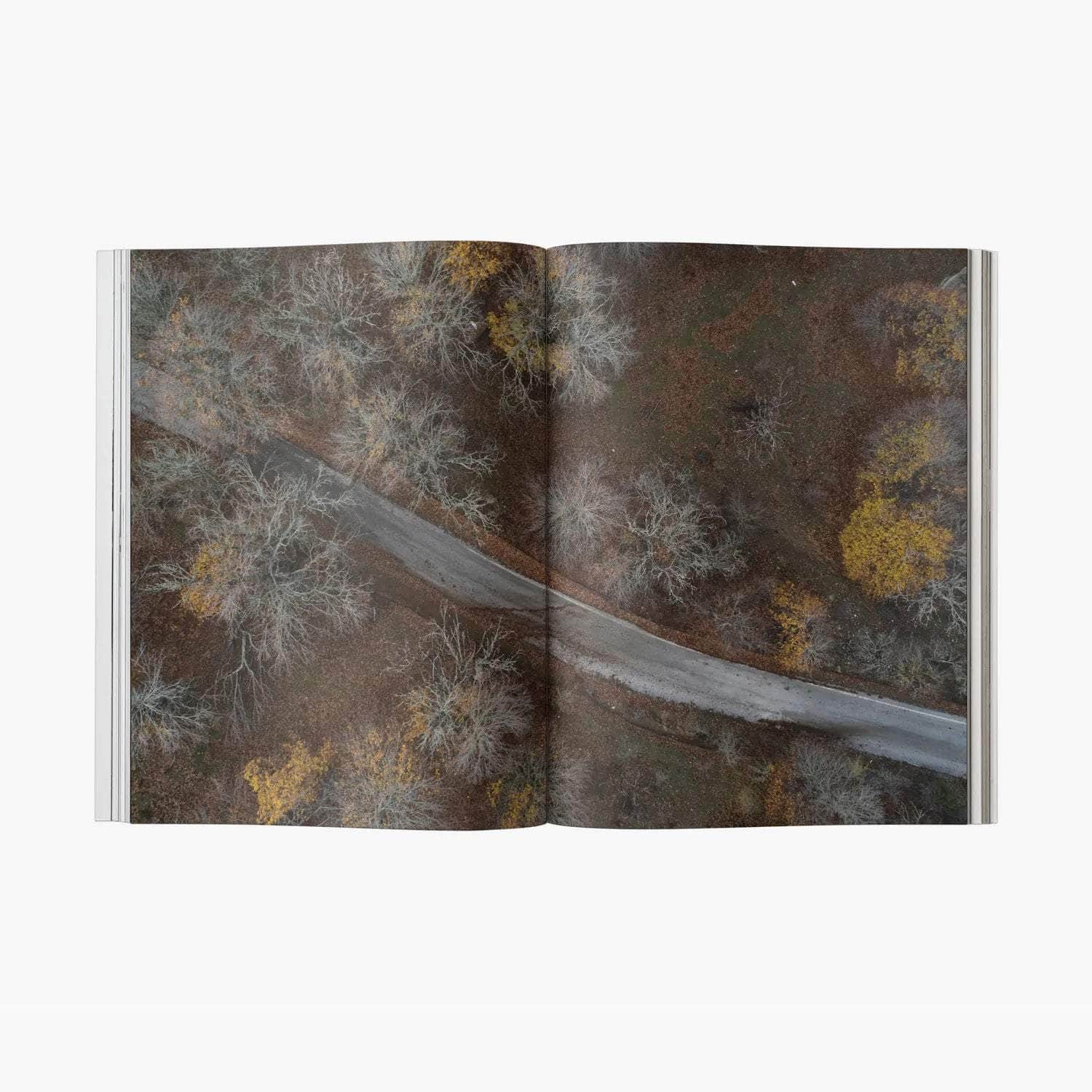 The Greek Foundation Vol 03