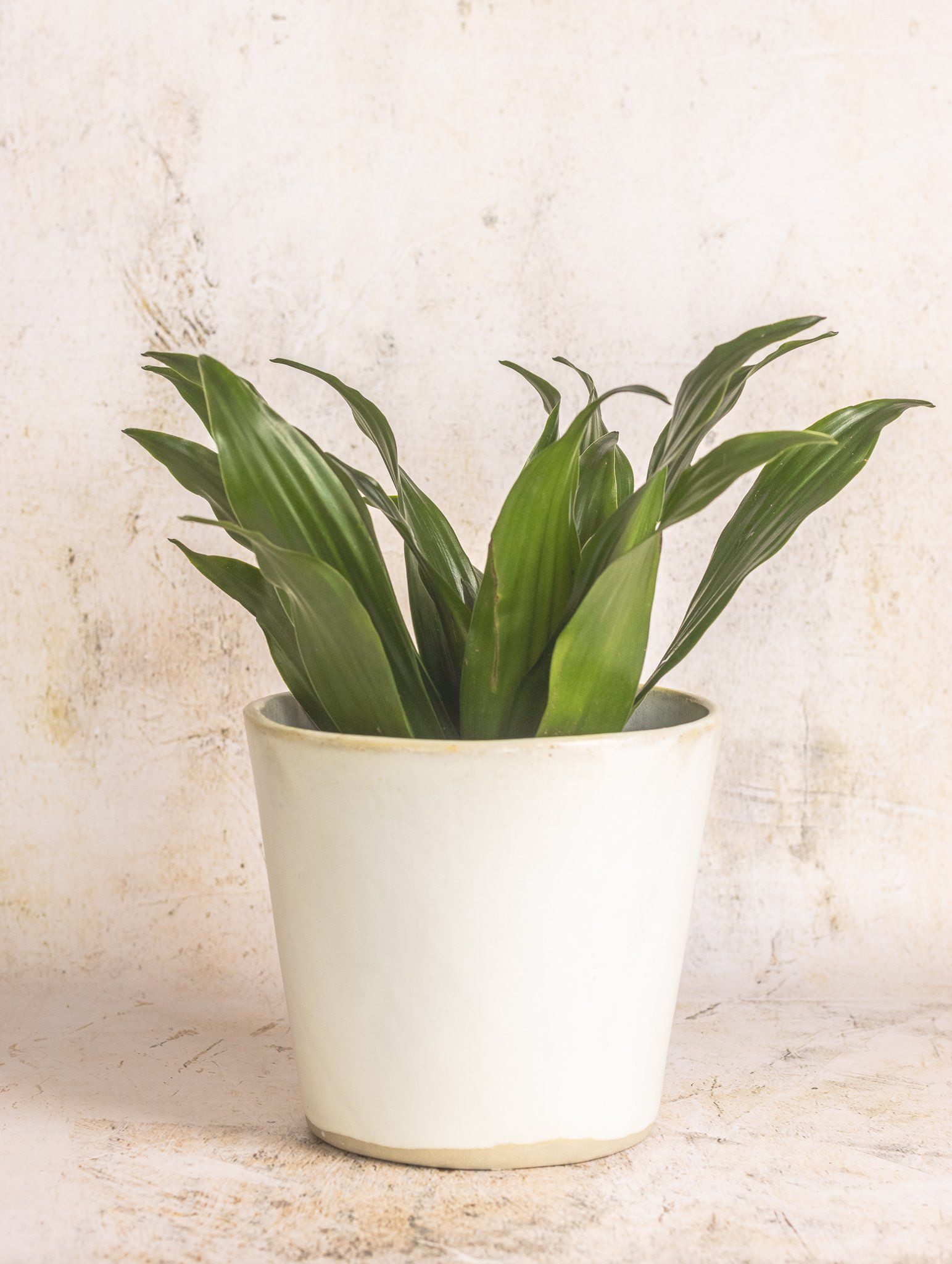 Lakeland Drift Plant Pot