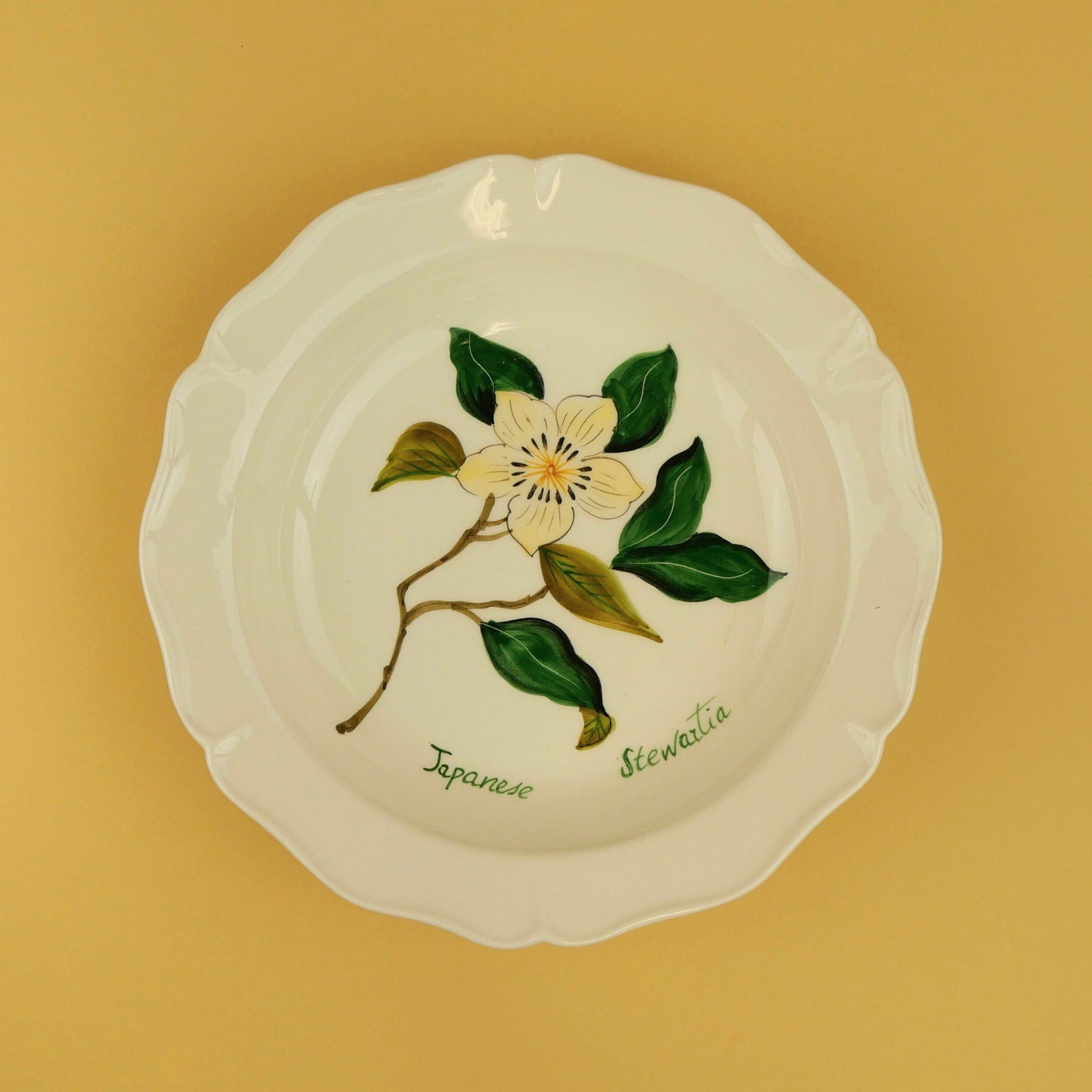 Set of 4 Botanica Soup Plates