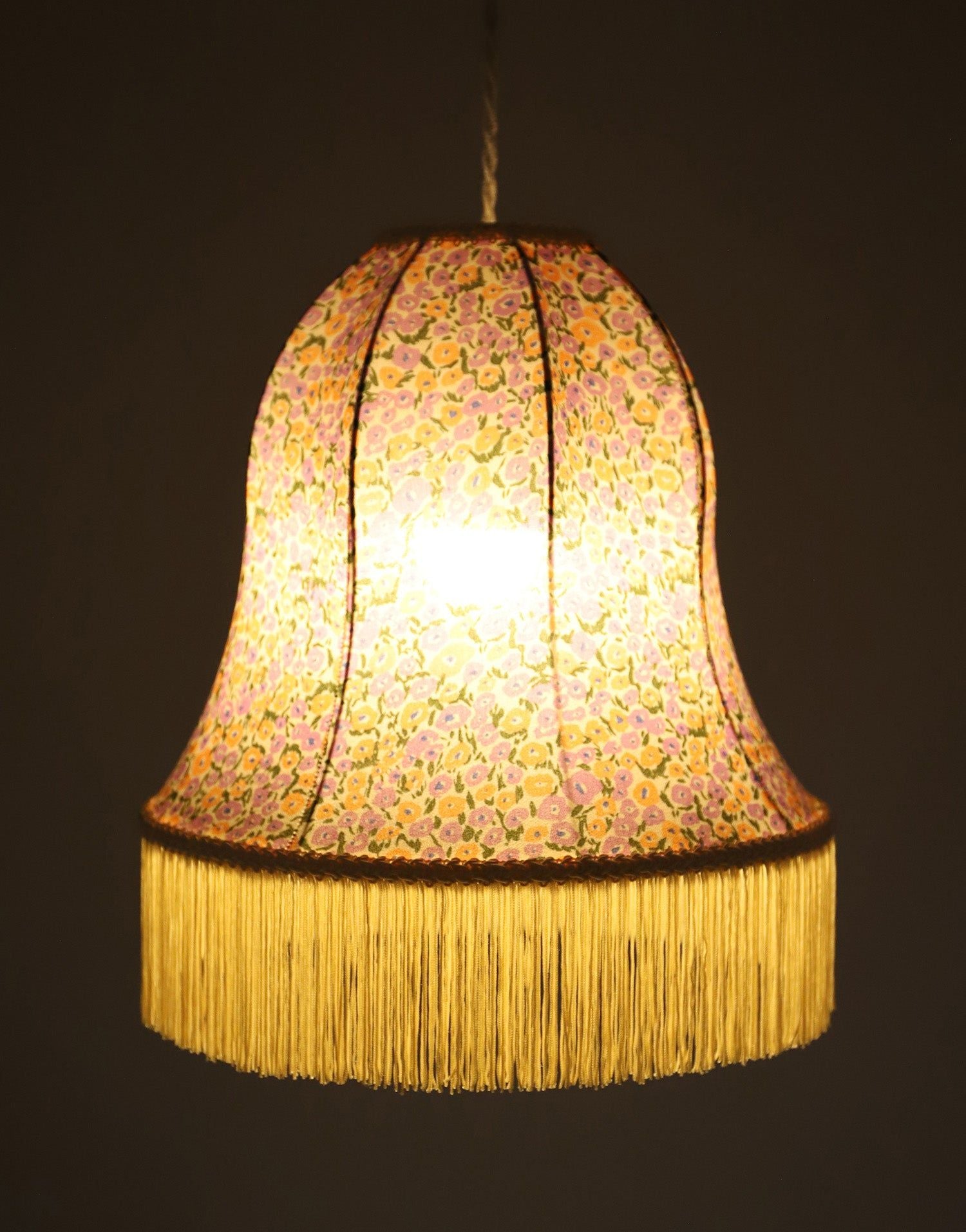 Armande "Bell" Shape Pendant Light with Fringe Print