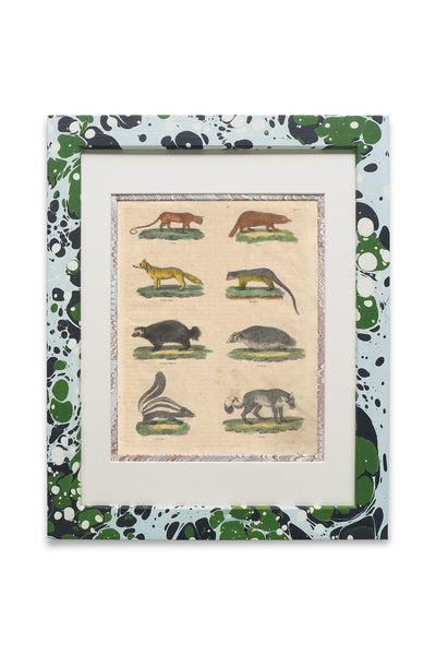 Buffon No.23 Glacier Framed Print