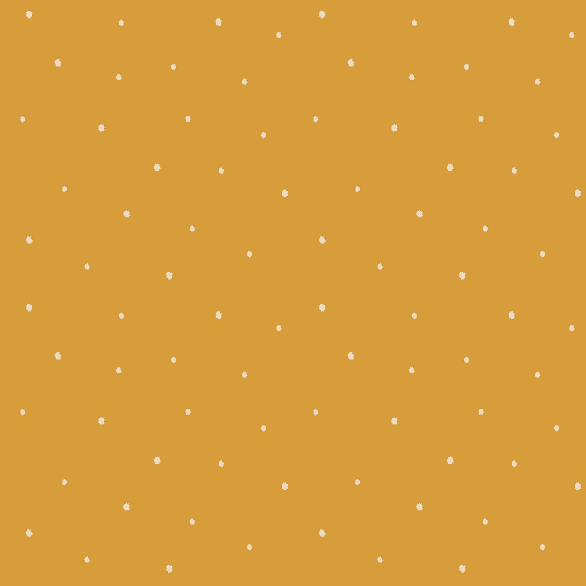 Dolce Daisies Wallpaper, Cannoli, Sample