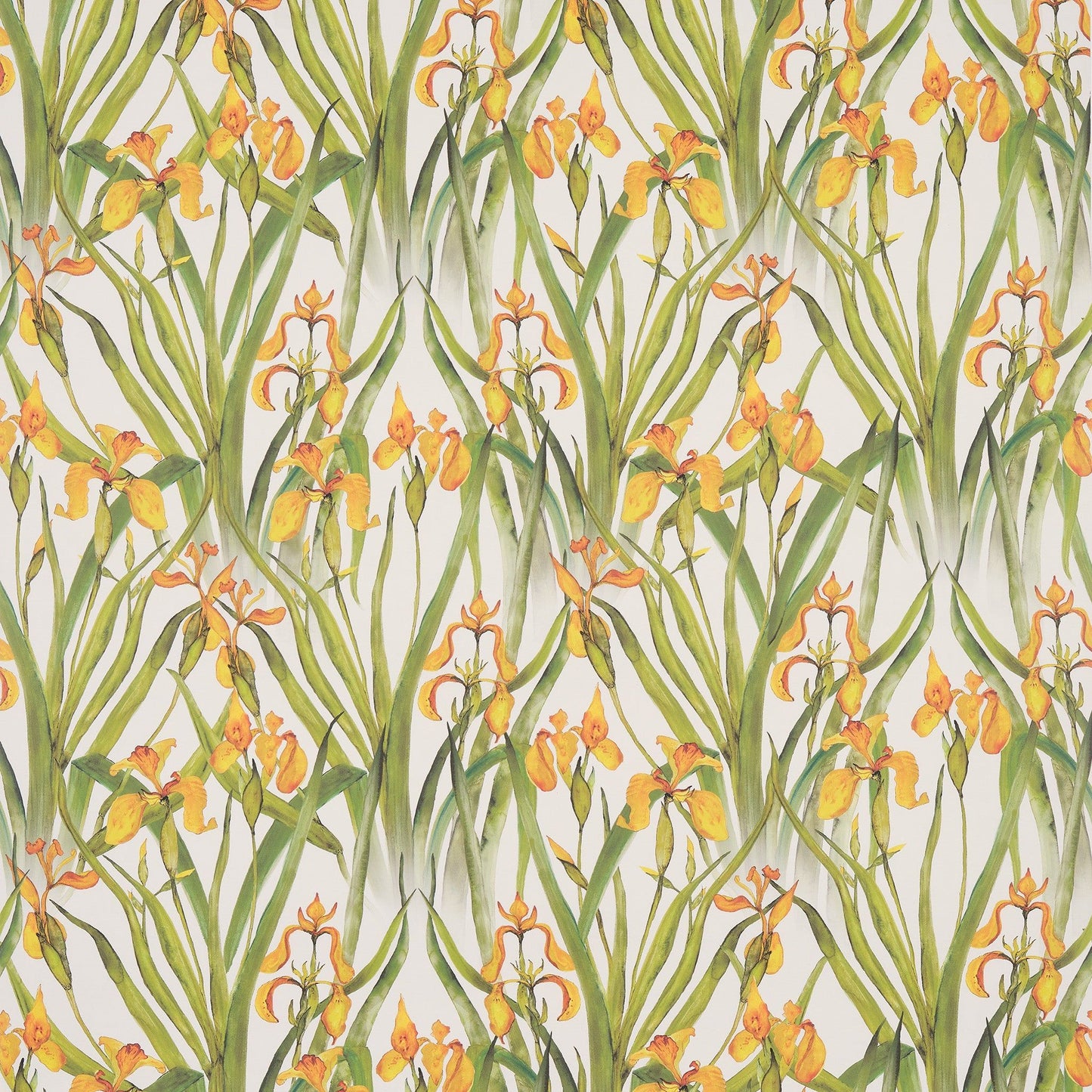 Wild Iris Small Wallpaper