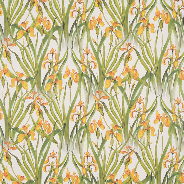 Wild Iris Small Wallpaper