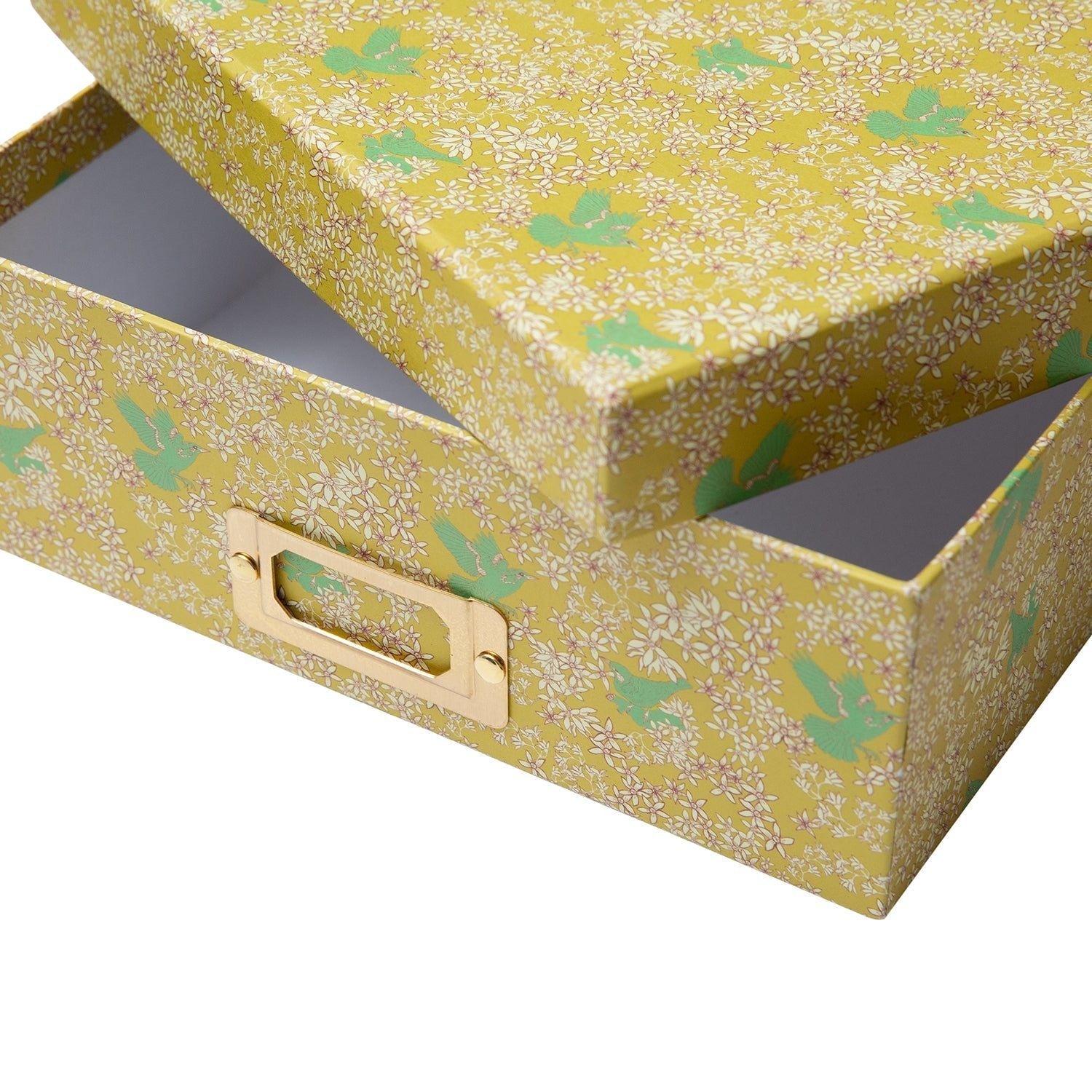 Corali Lemon Deeps Lidded Portfolio Box