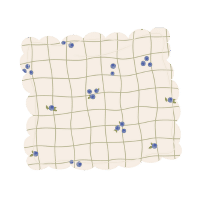 Soft Petal Cushion Covers (Set of 2) – Blueberries