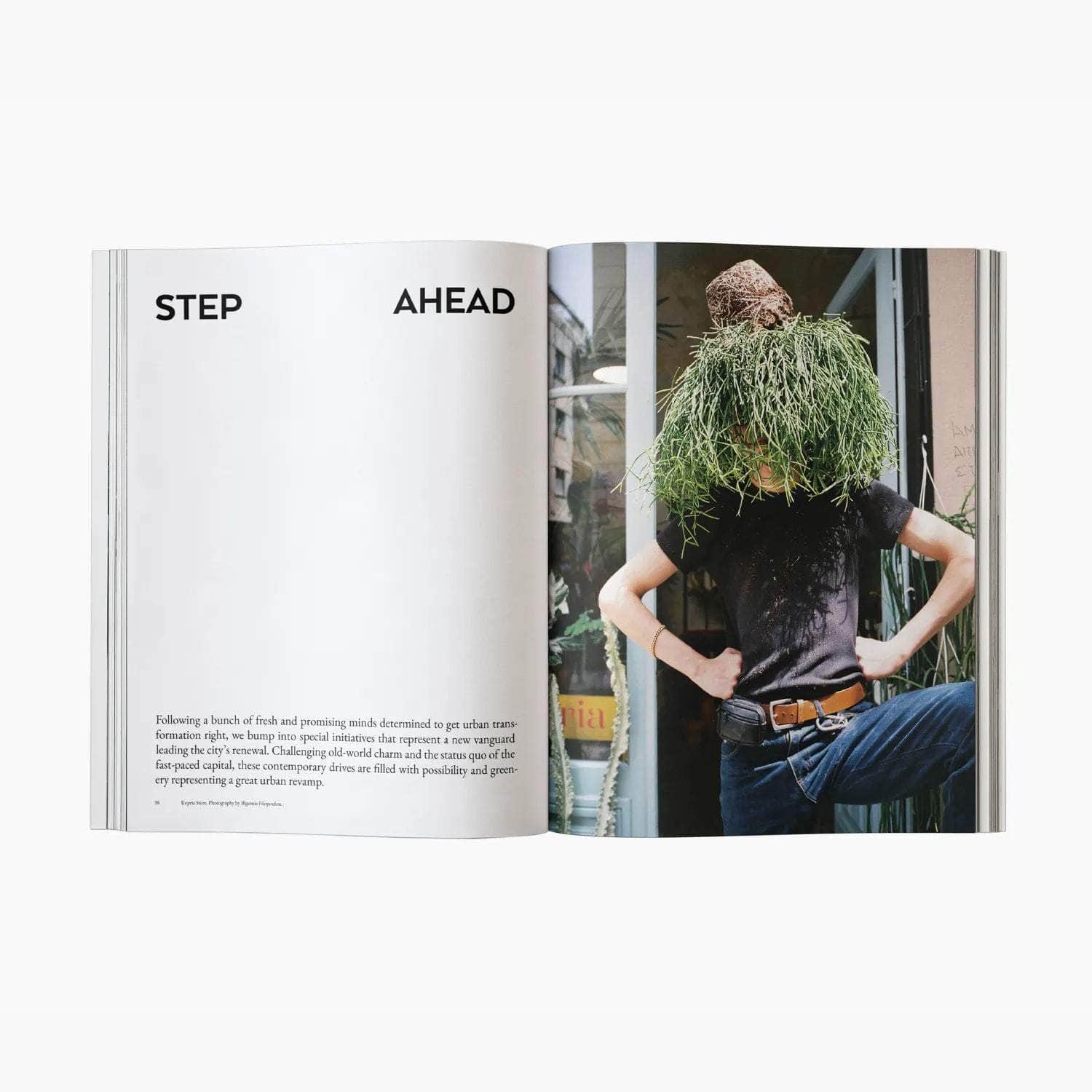 The Greek Foundation Vol 02