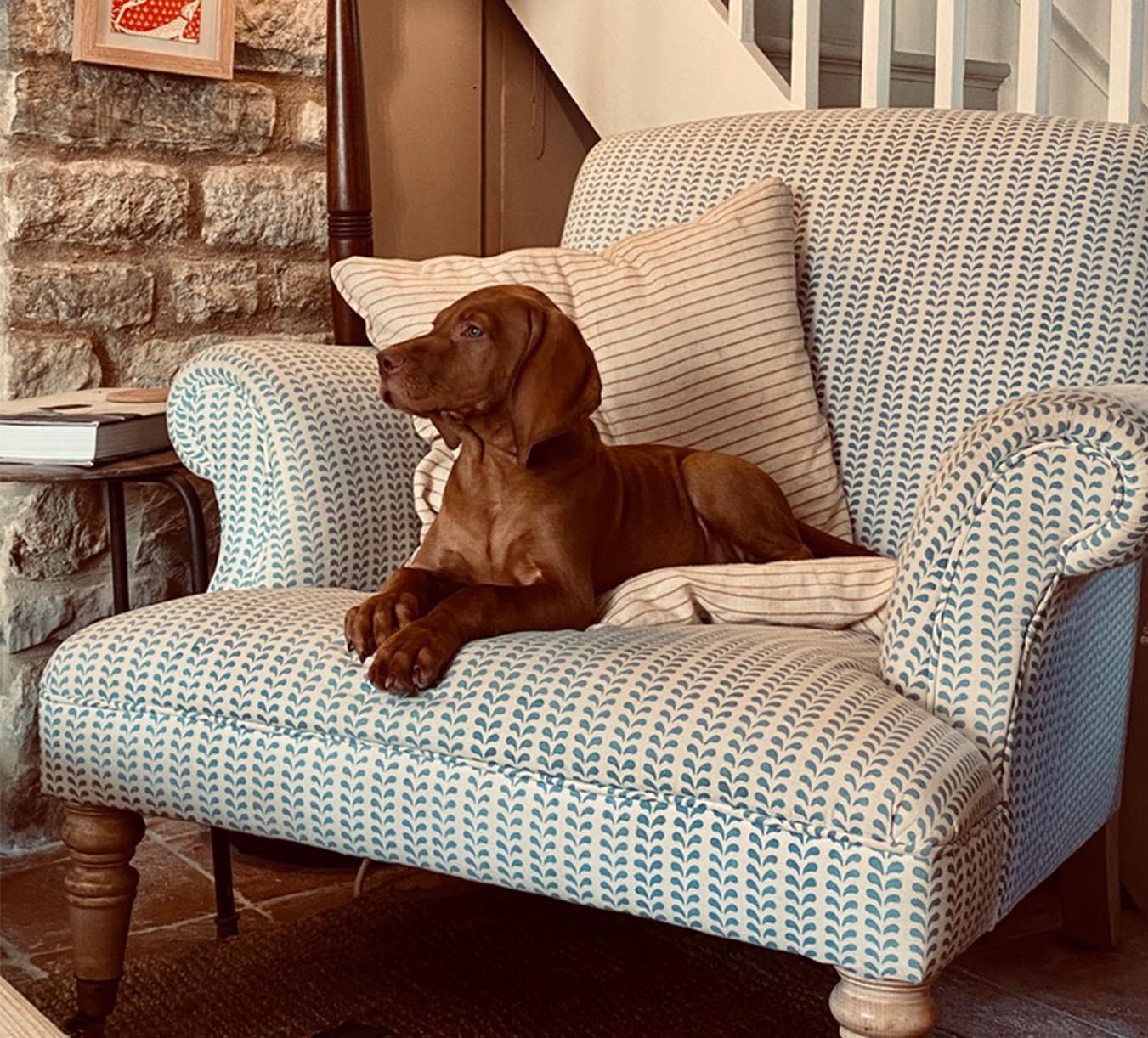 Bindi Block Printed Fabric Cotton Blue