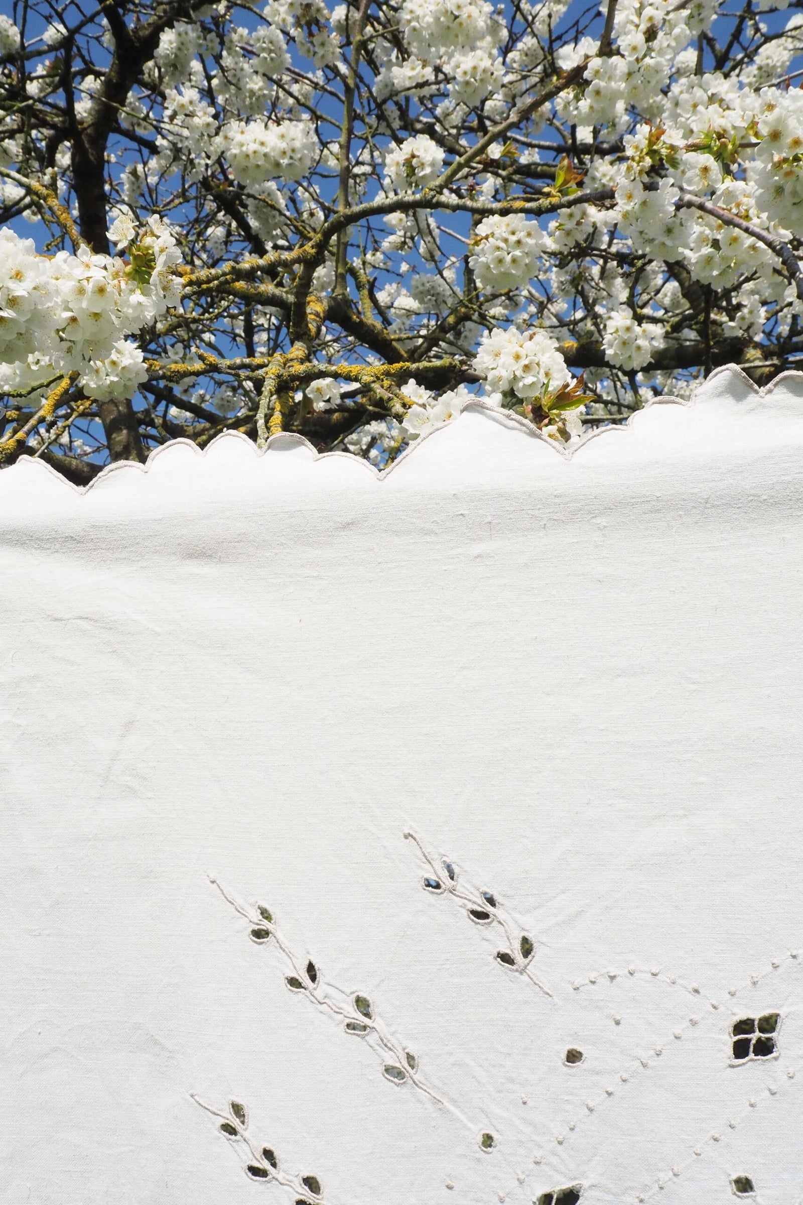 Vintage Linen Broderie Anglaise Tablecloth