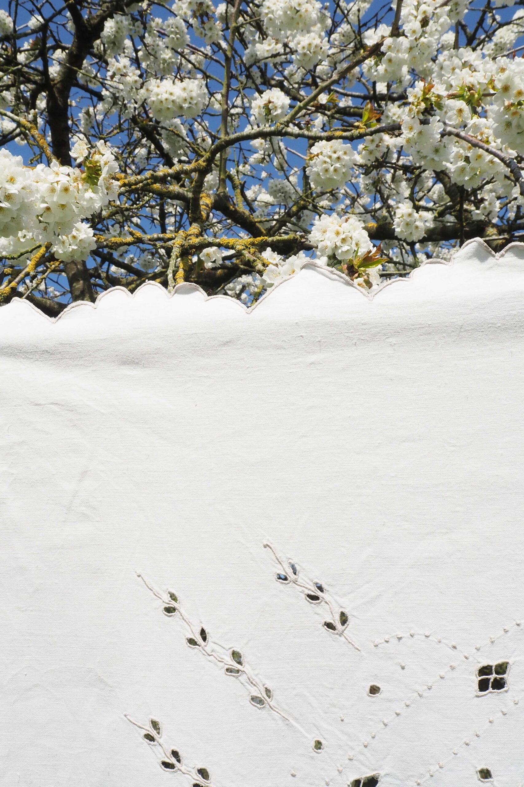 Vintage Linen Broderie Anglaise Tablecloth