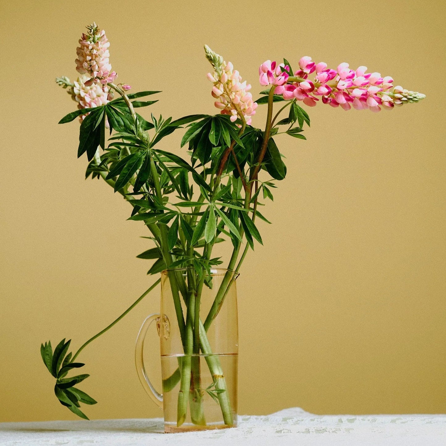 Lemonade Jug - Rose