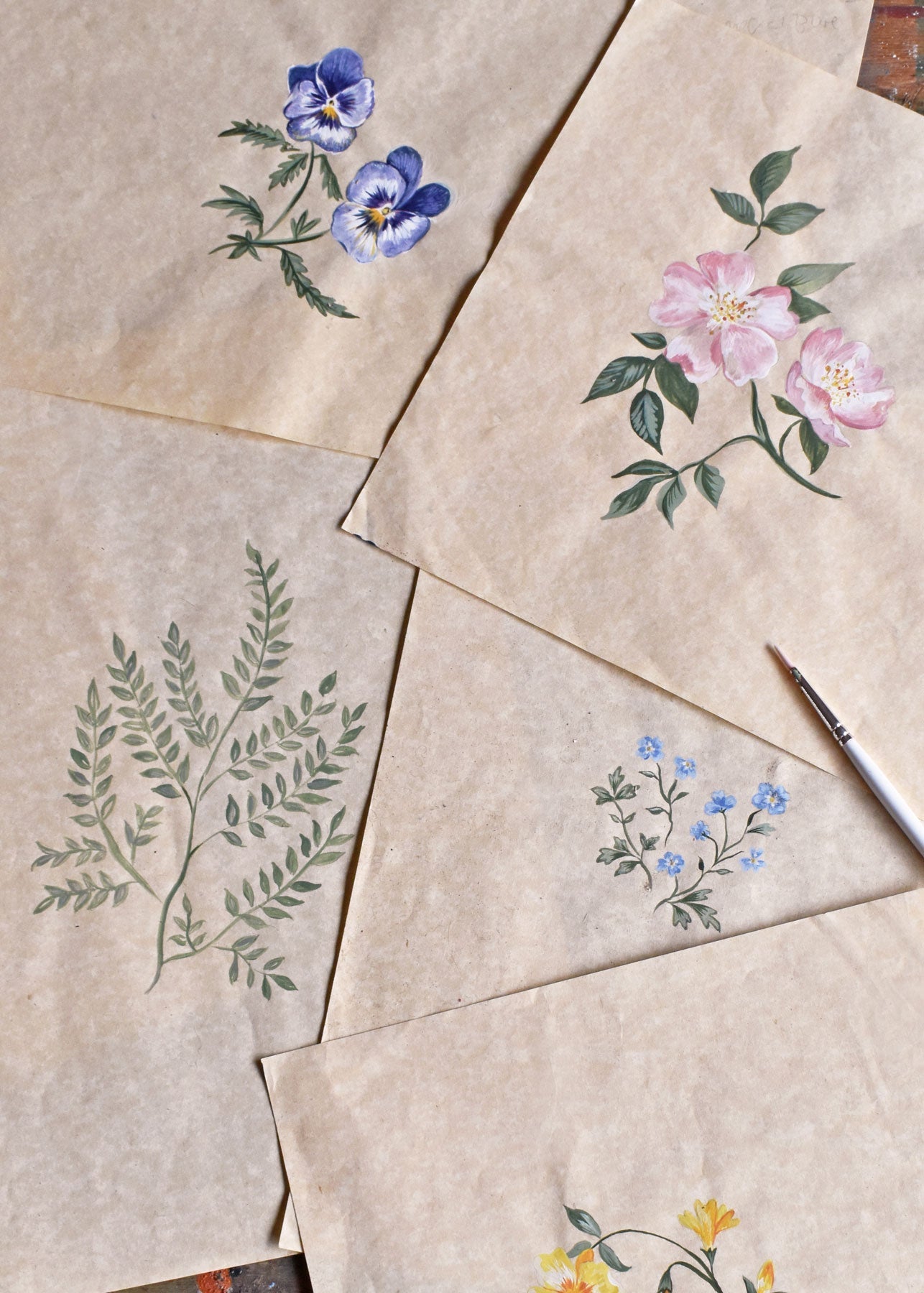 Herbarium Wildflower Wallpaper - Blush