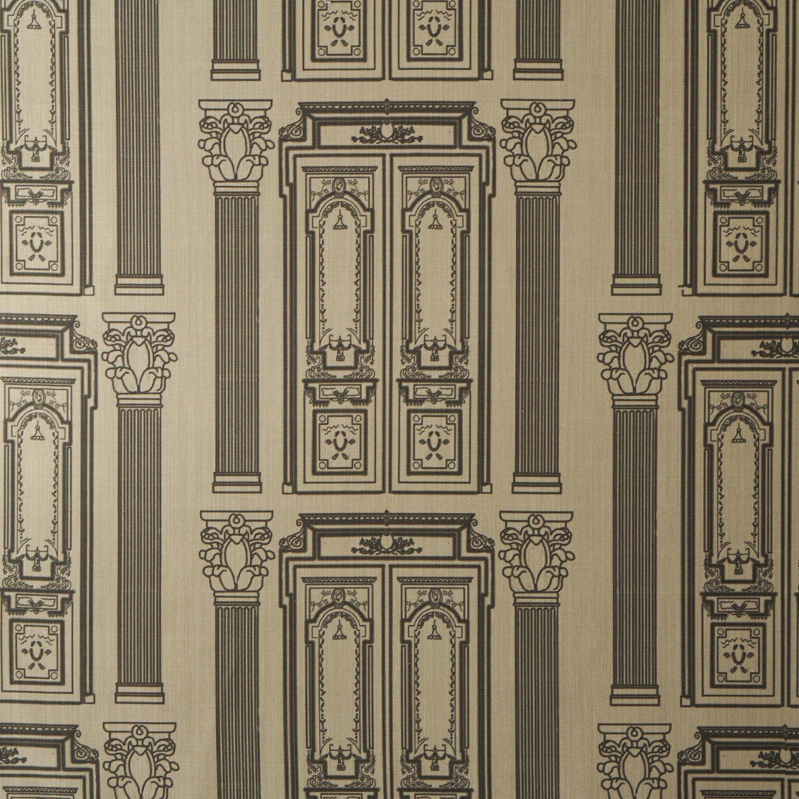 Portes de Paris Pillow