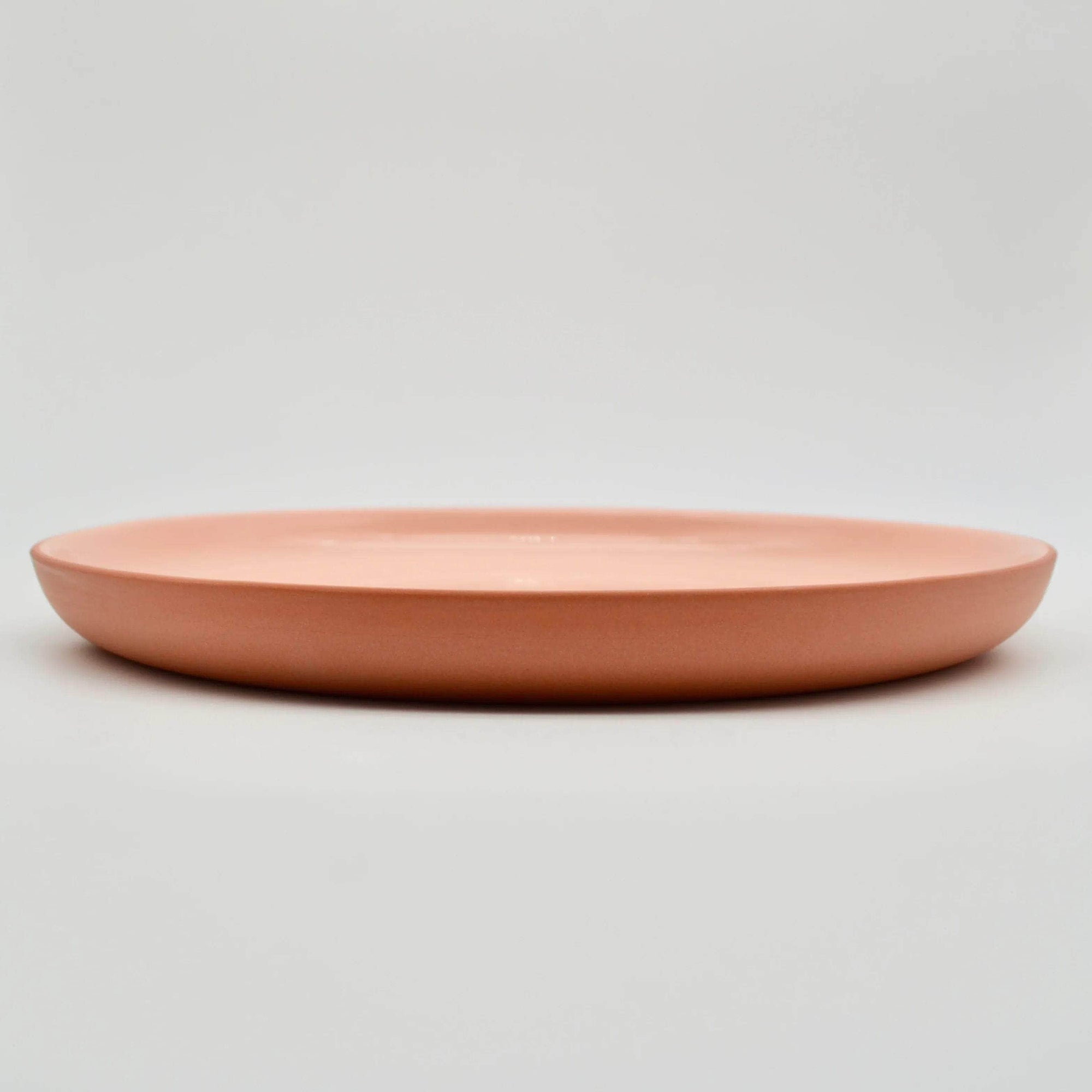 Dinner Plate Earthy Tone
