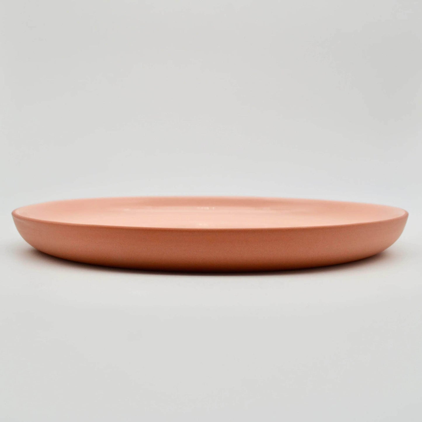 Dinner Plate Earthy Tone