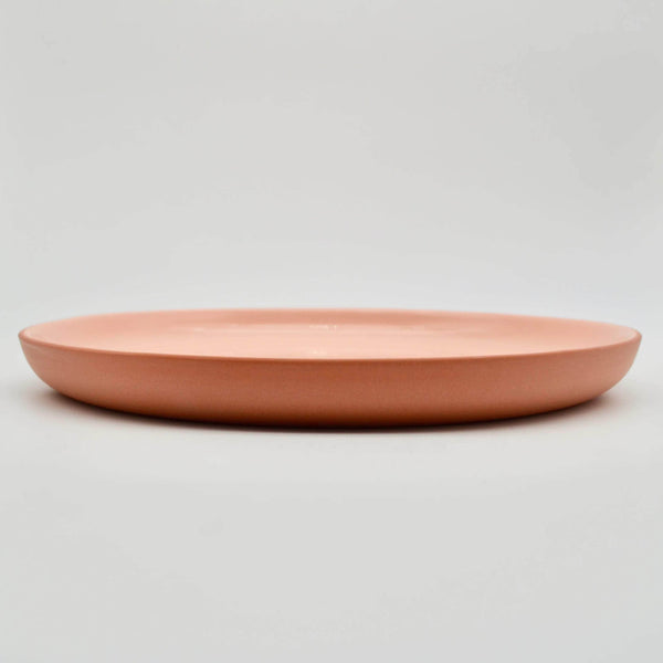 Dinner Plate Earthy Tone