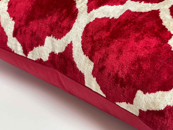 Ikat Pillow 11